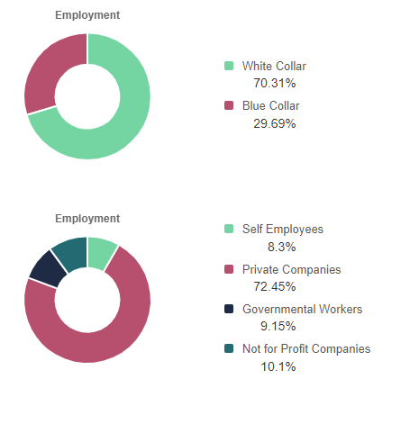 Demographics chart of Employment 