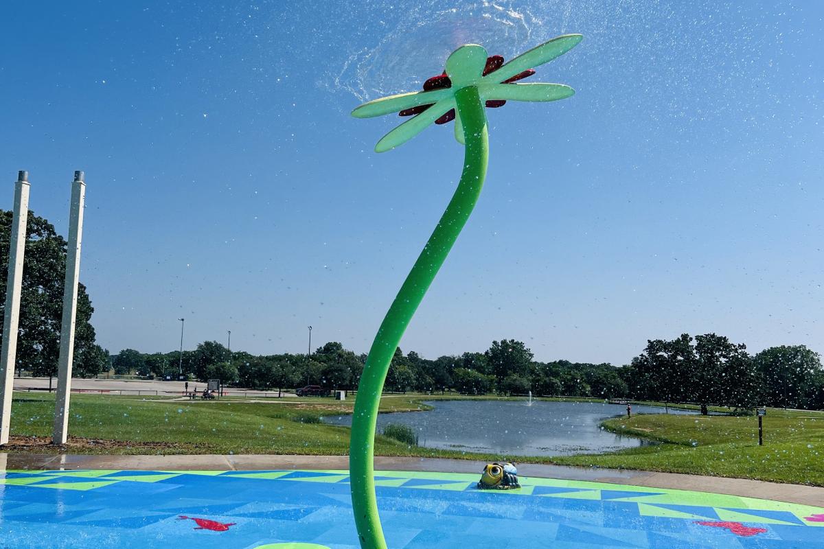 Flower Shower