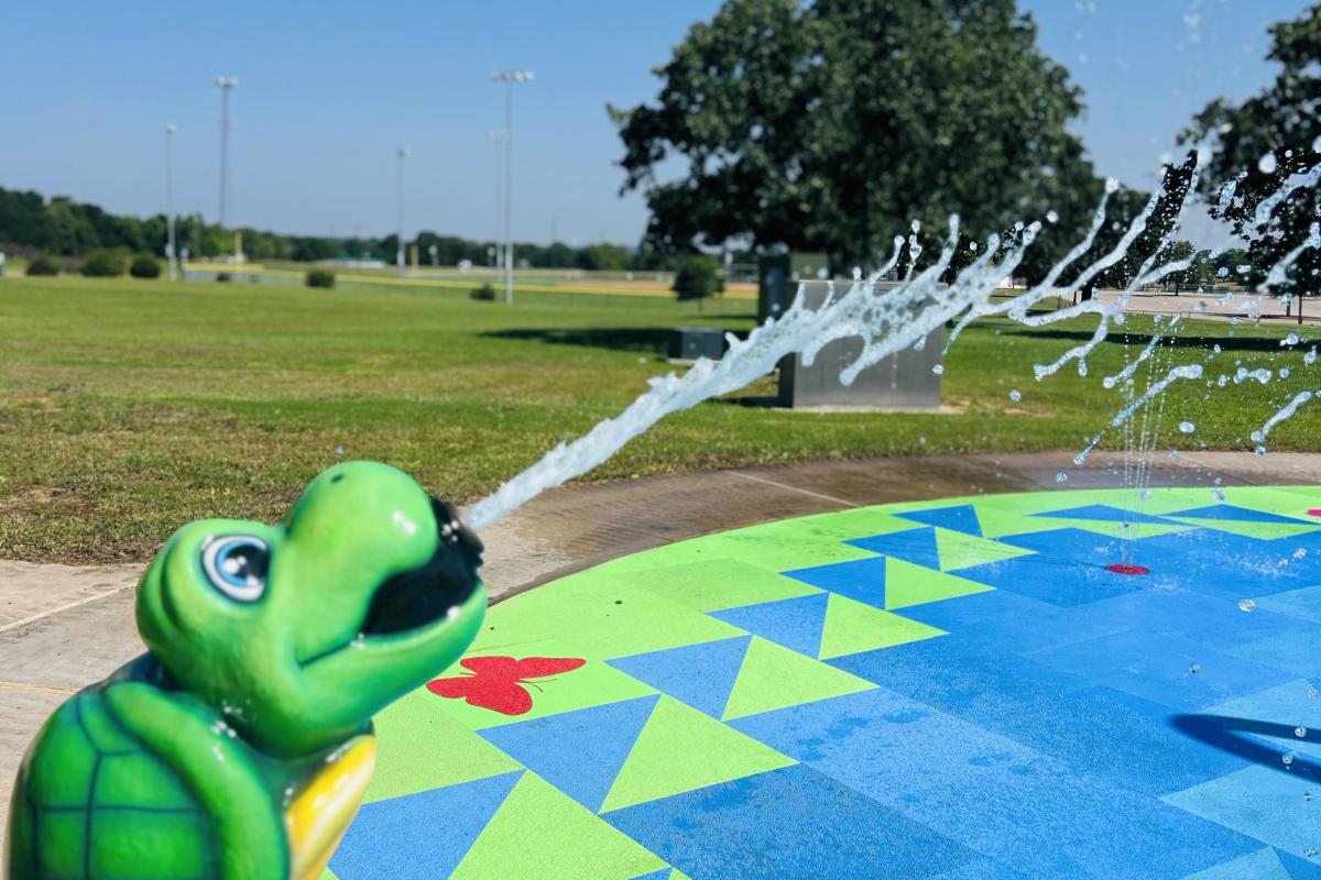 Turtle Sprayer